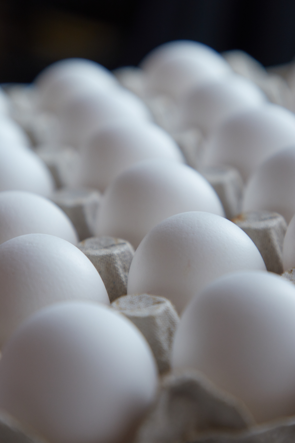 Eggs Carton