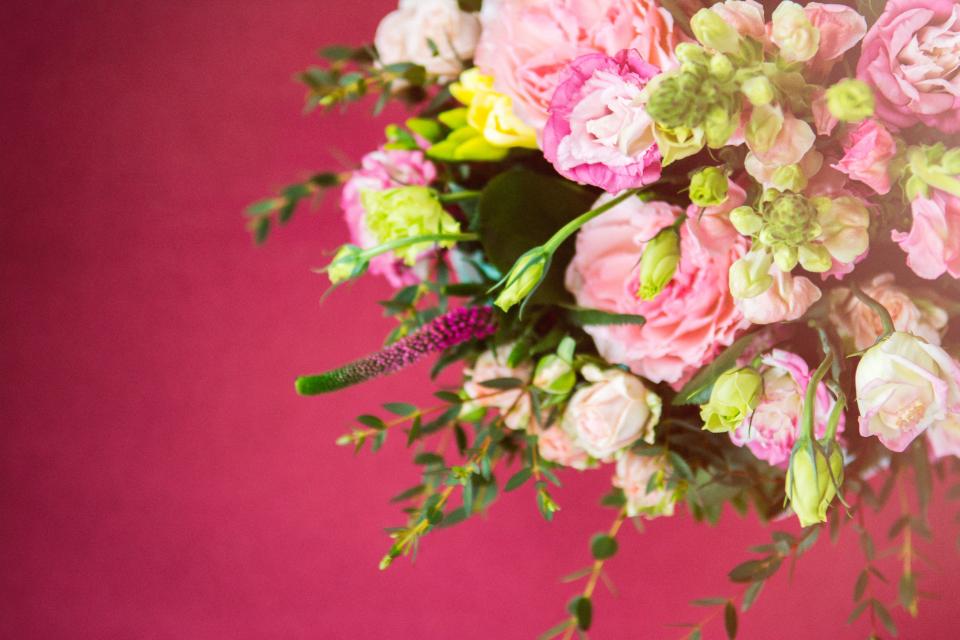 Pink Flowers
