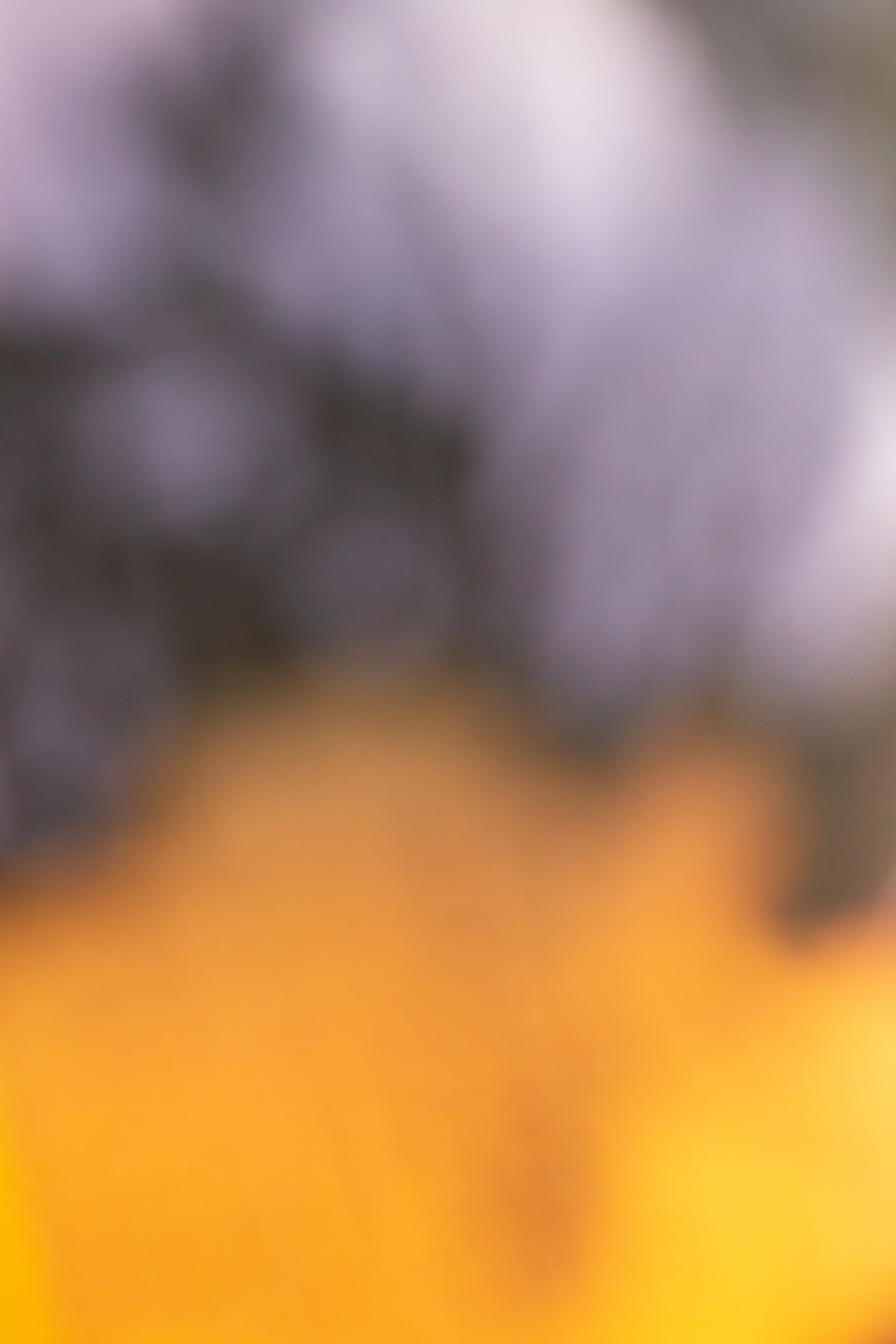 Bokeh Yellow