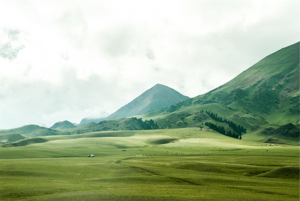 Landscape Mountains
