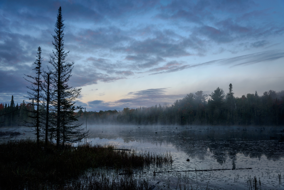 Lake Landscape