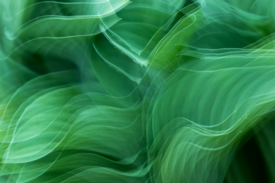 Abstract Green