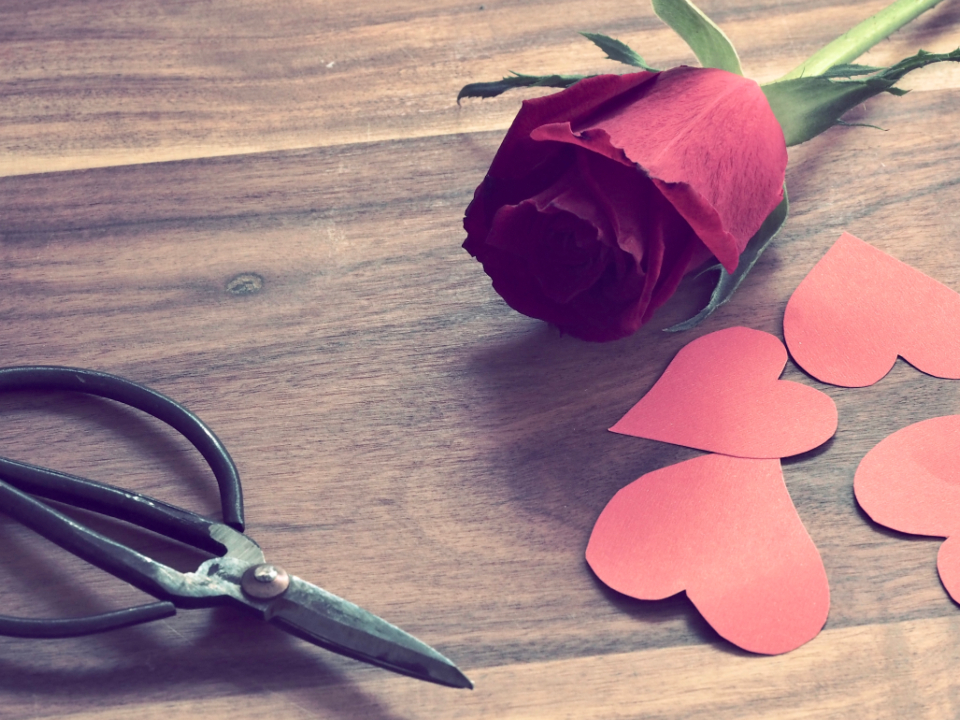 Love Heart