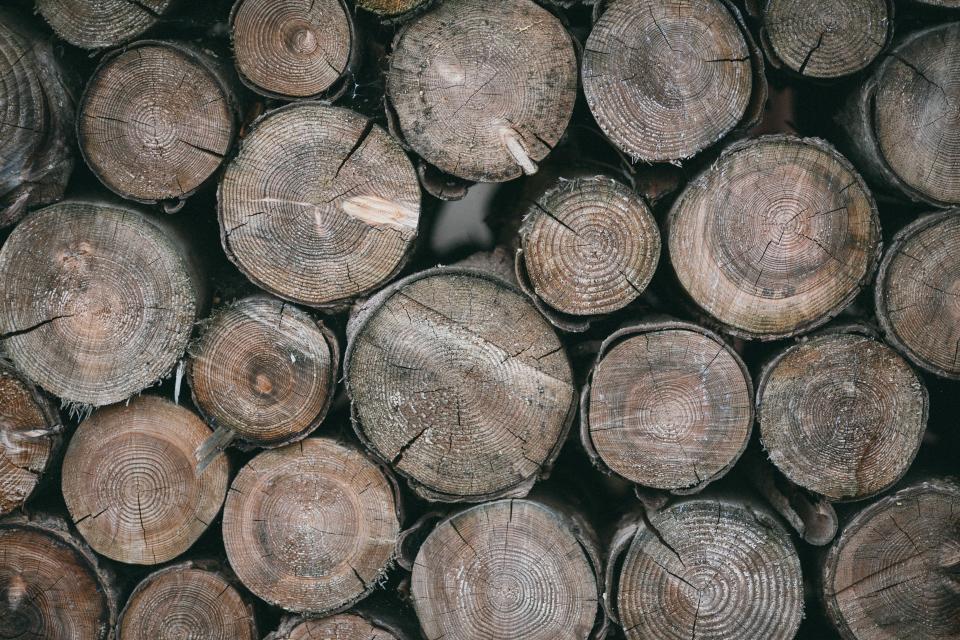 Wood Logs