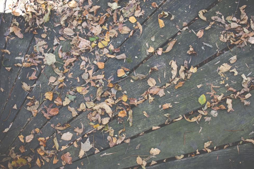 Wood Deck