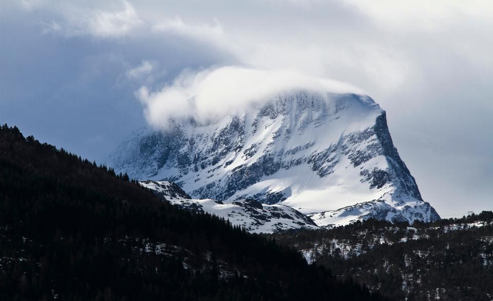 Snow Winter