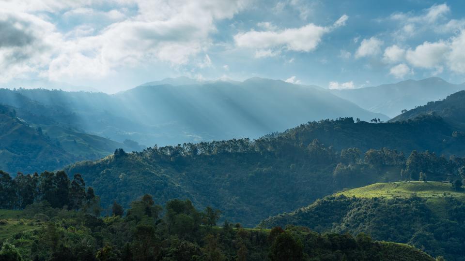 Nature Landscape