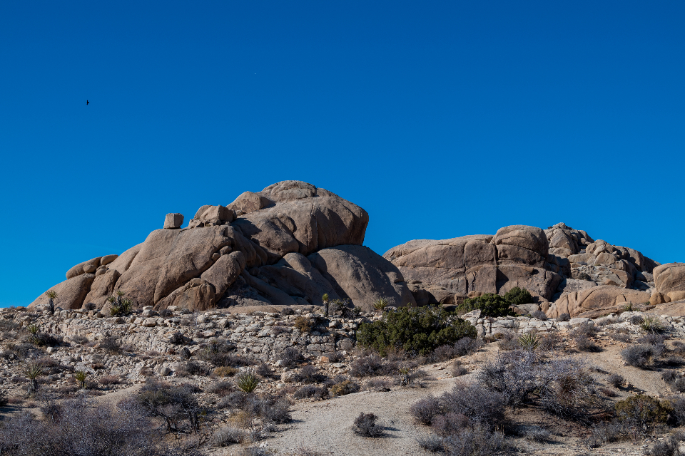 Rocky Landscape