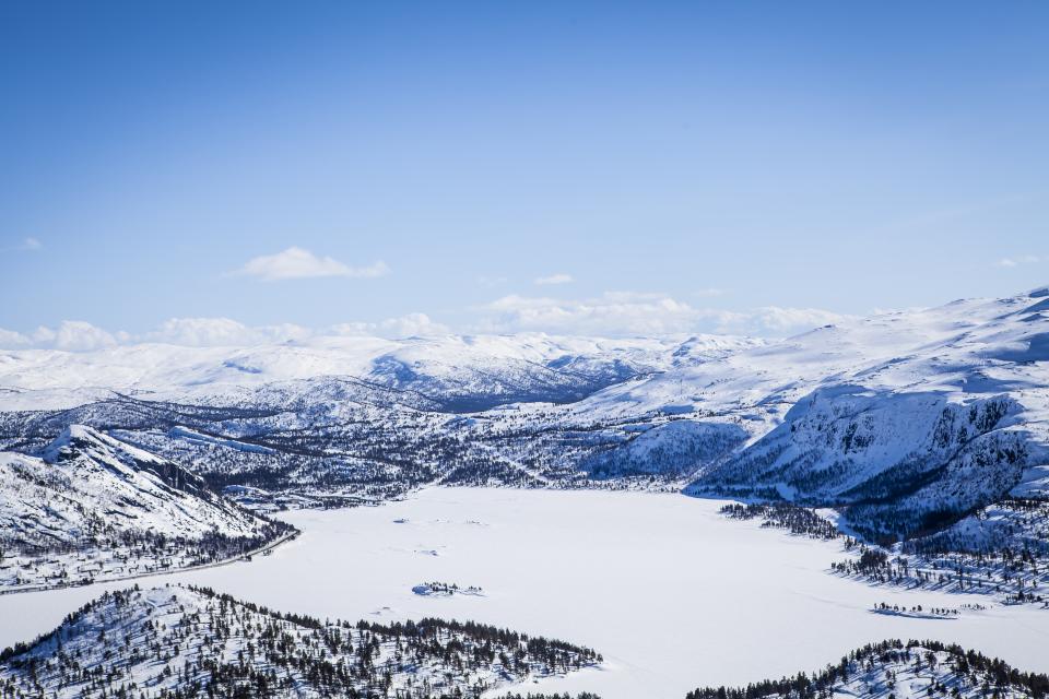 Snow Winter