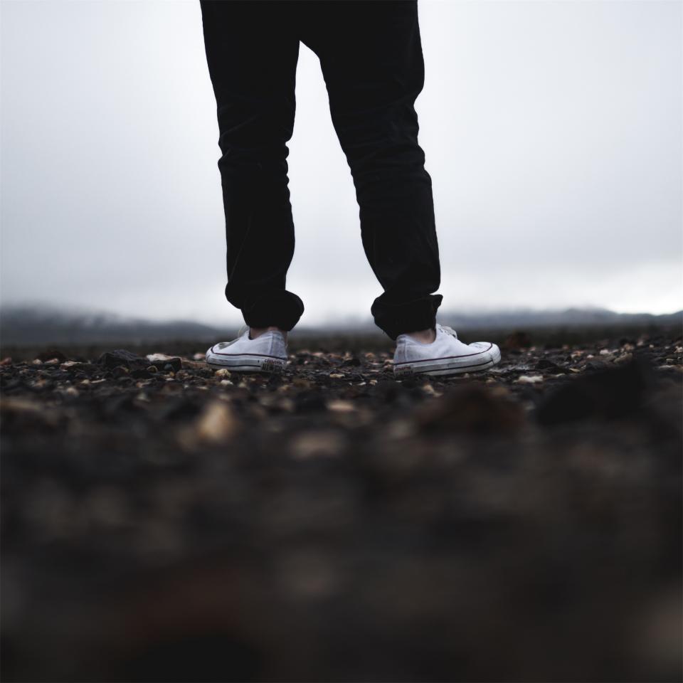 Shoes Sneakers