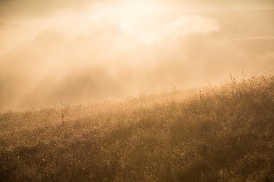 Nature Landscape