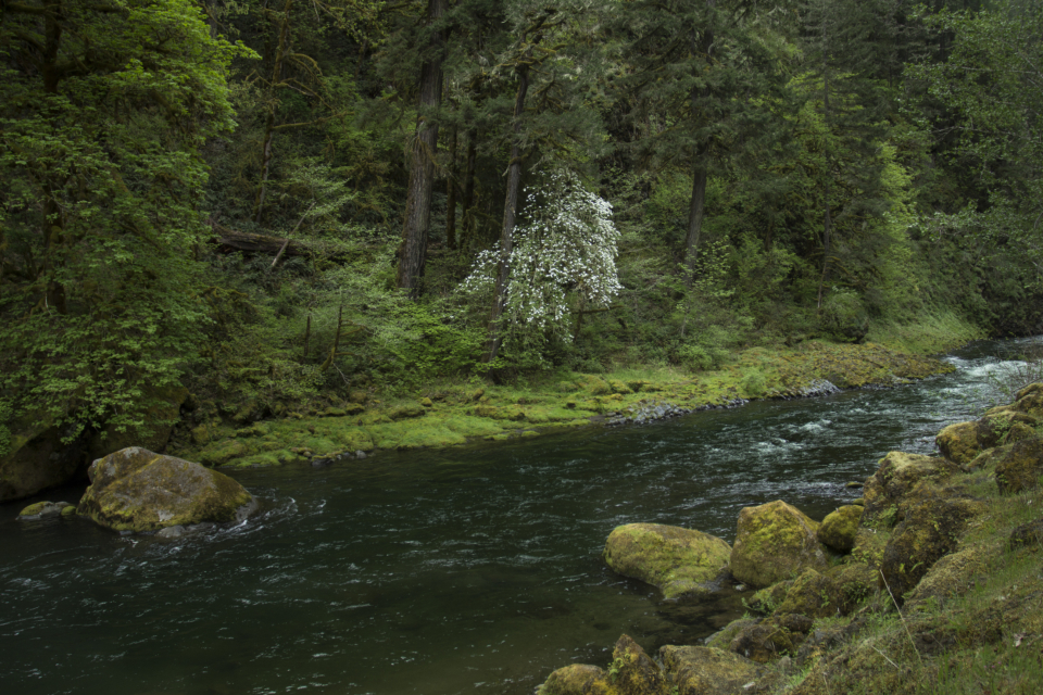 Streaming Water