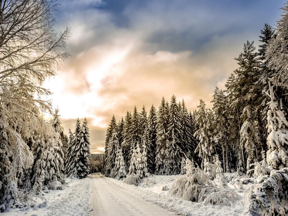 Snow Winter