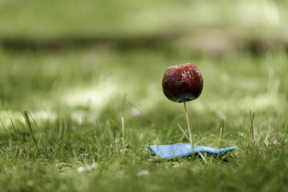 Cherry Fruit