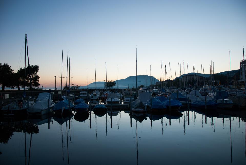 Dock Boats