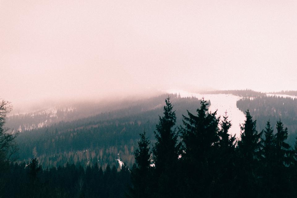 Nature Landscape