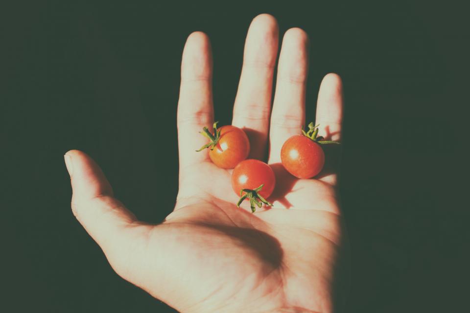 Tomatoes Tiny