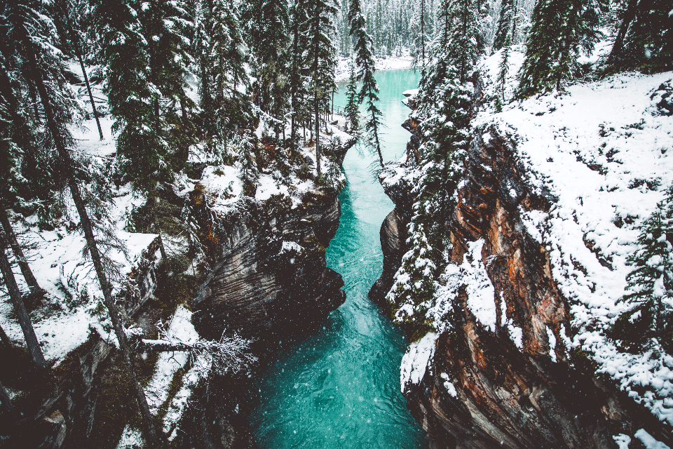 Snow Winter