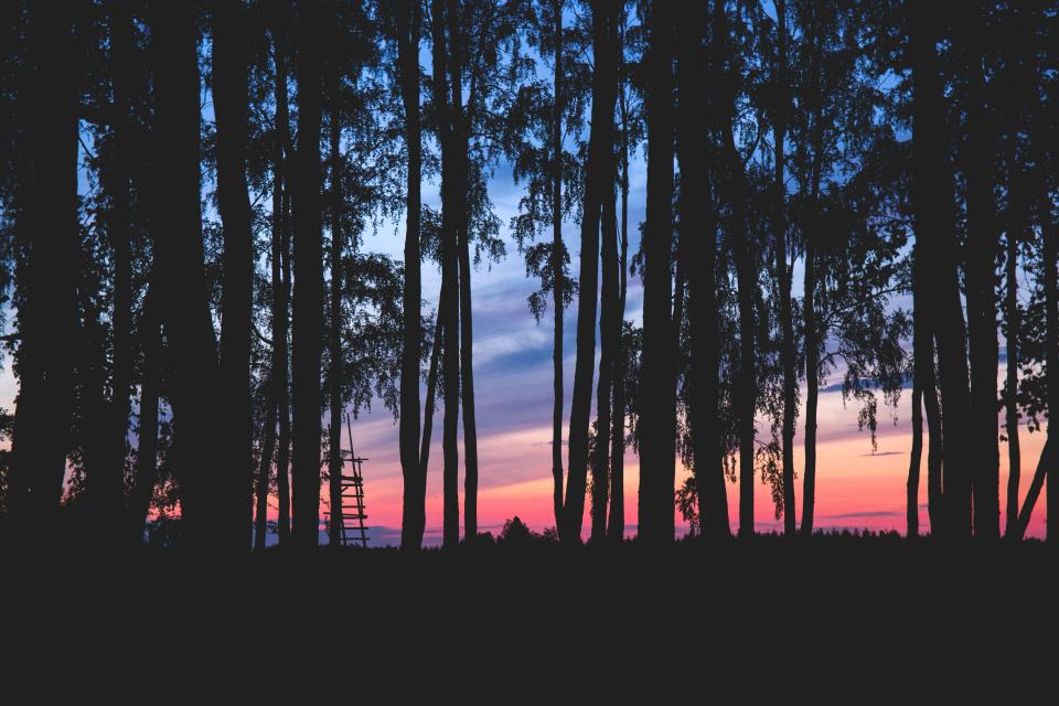 Nature Landscape