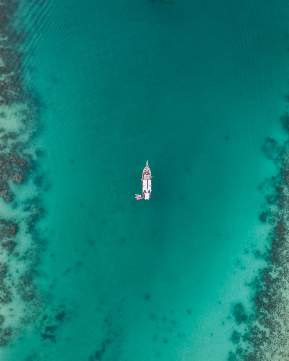 Drone Boat