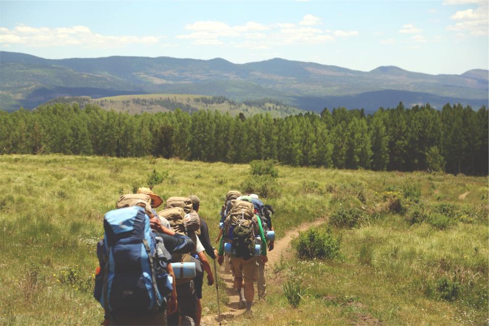Hiking Hikers