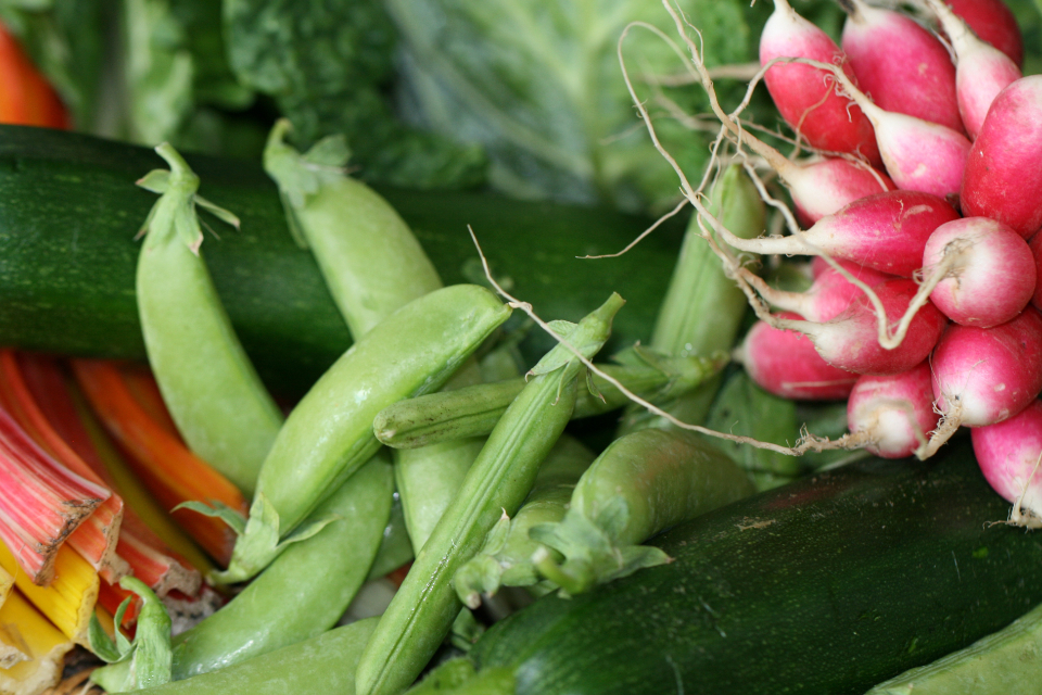 Fresh Vegetables