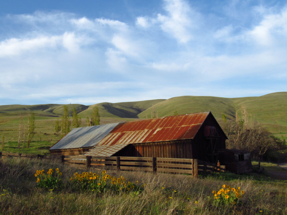 Old Farm