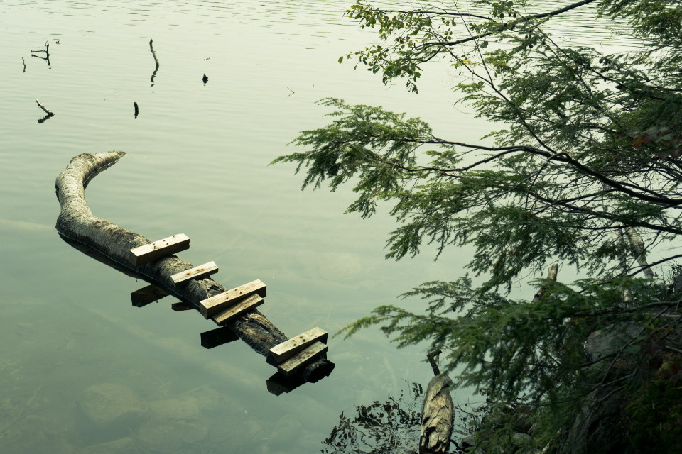 River Fallen