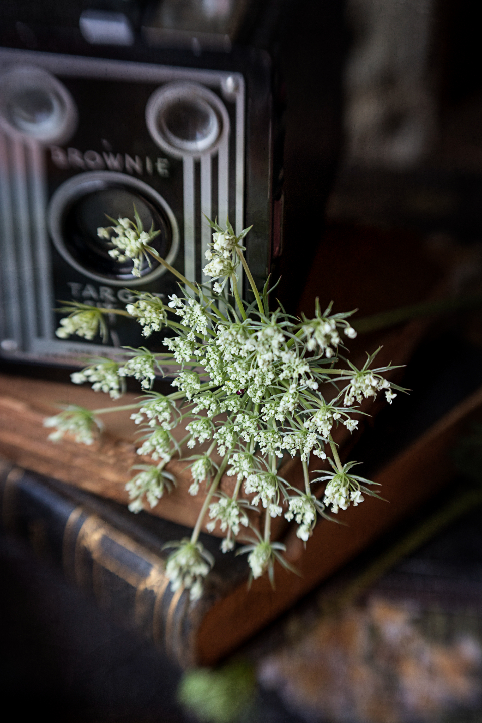 Vintage Camera