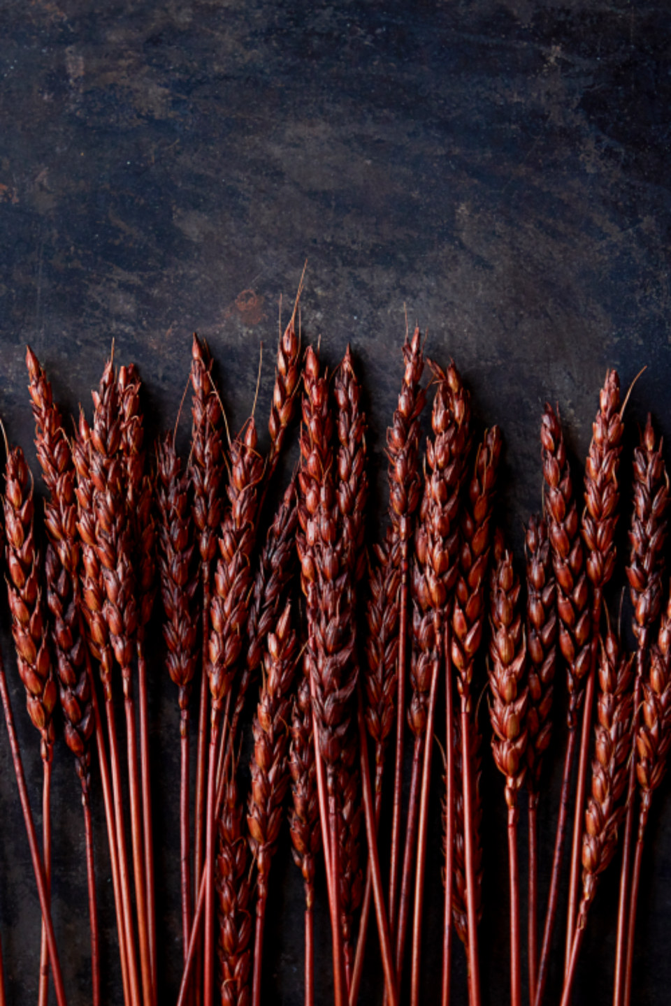 Dark Wheat