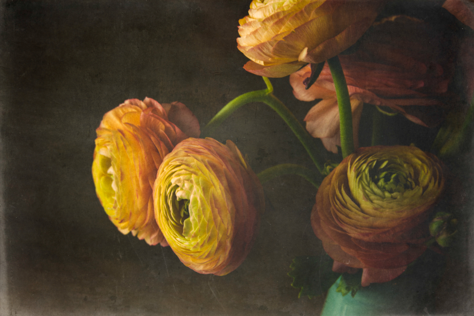 Flowers Floral