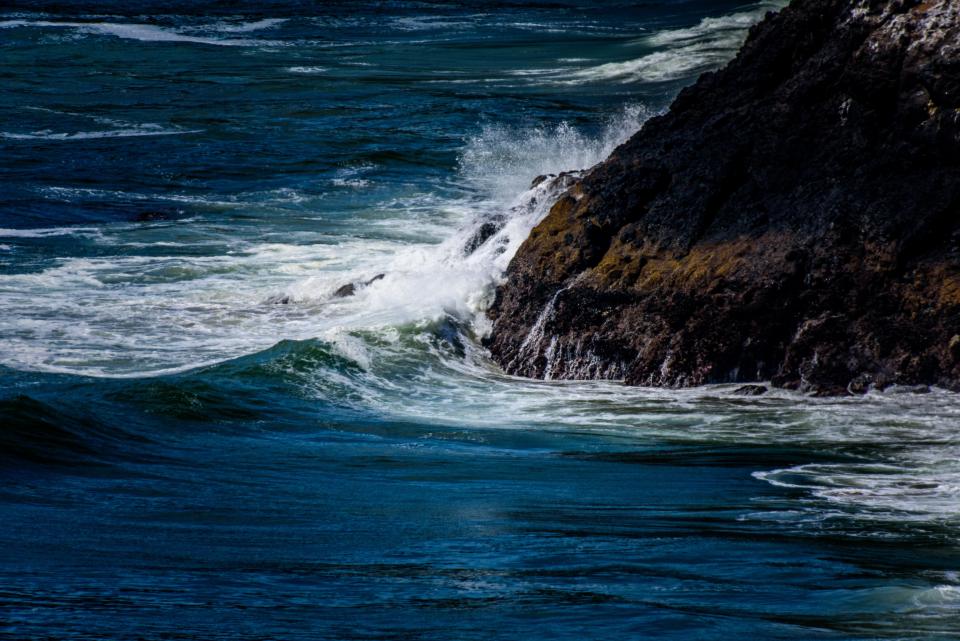 Nature Coast
