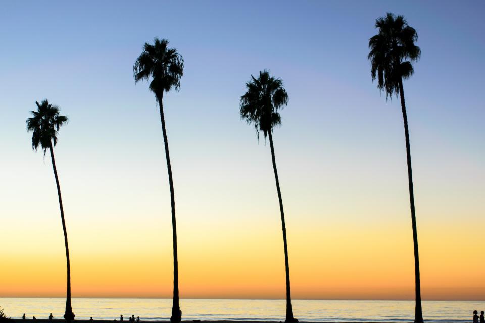 Beach Ocean