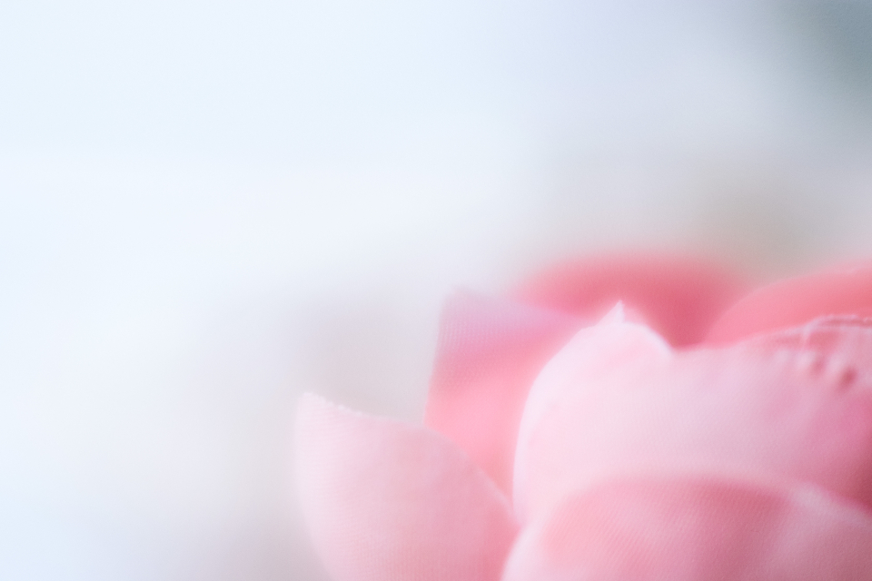 Abstract Flower