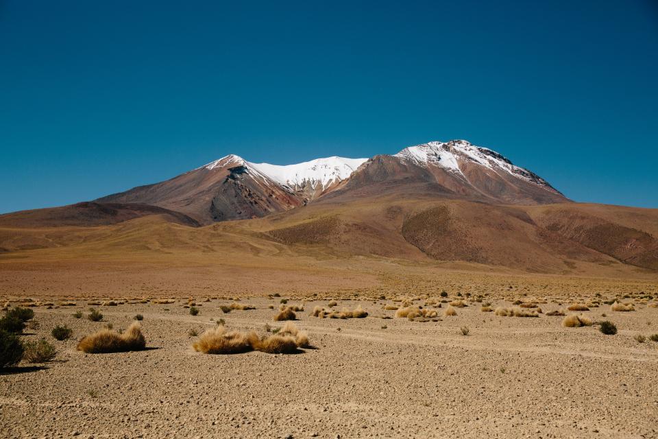 Desert Sand