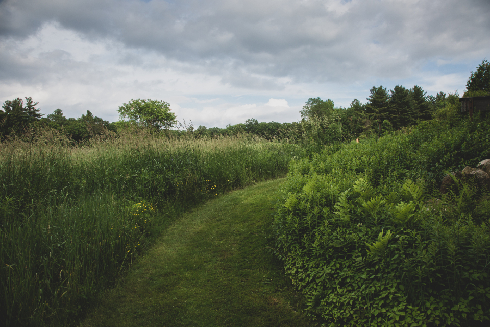 Green Field