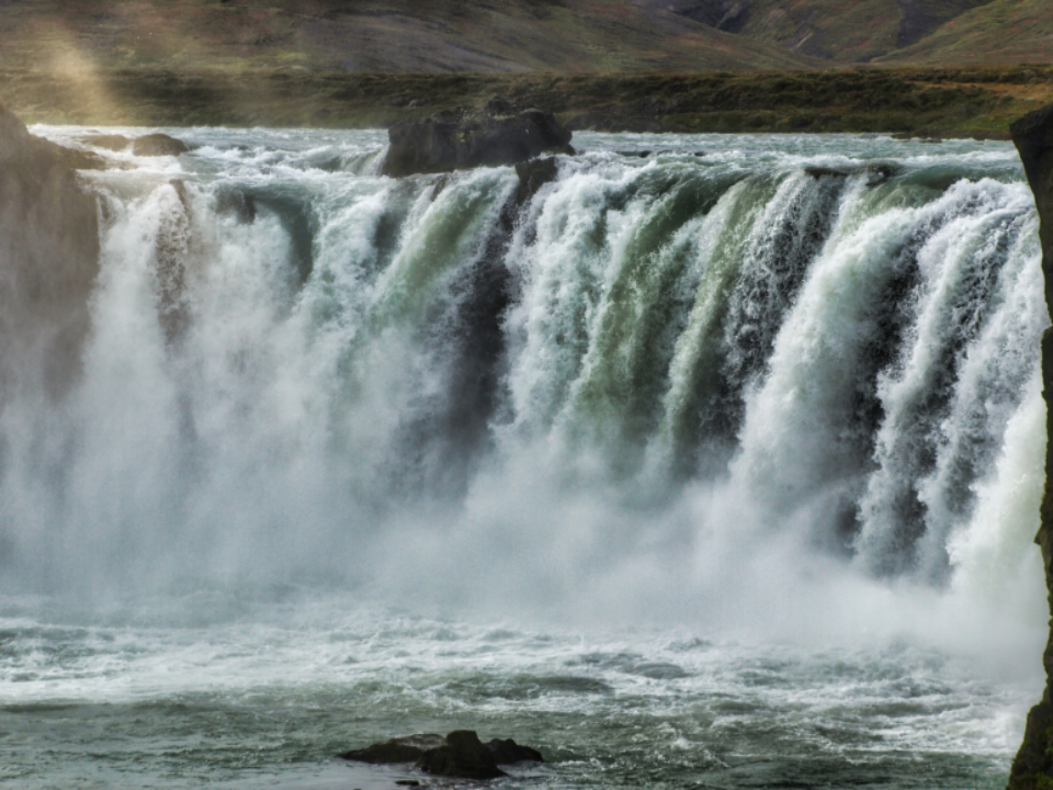 Waterfall Forest