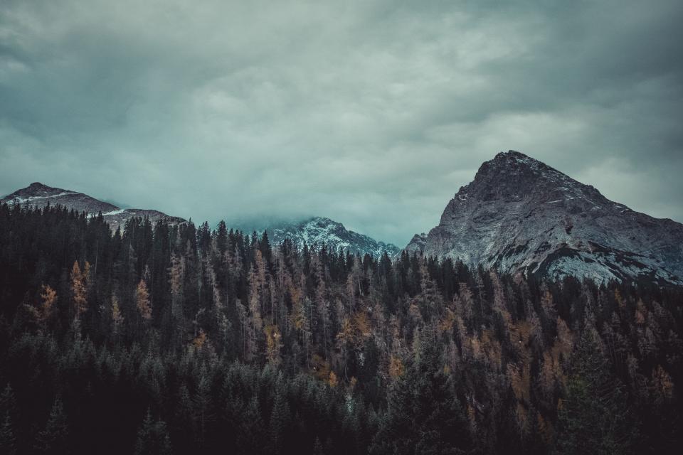 Mountain Highland