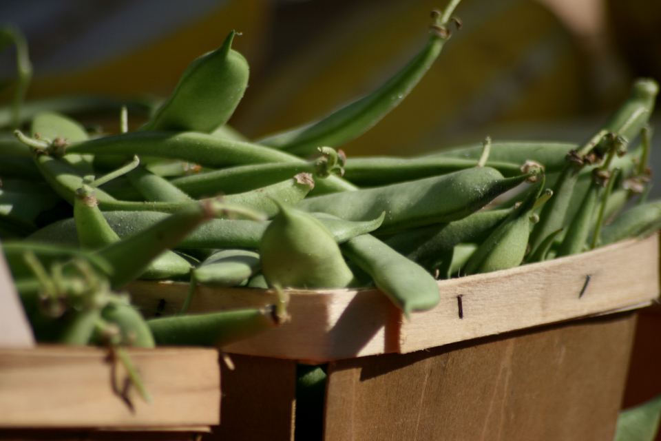 Green Beans