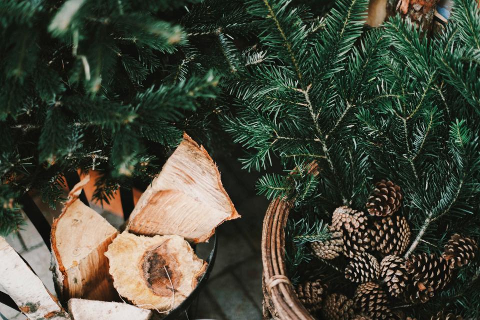Pine Cone Crops