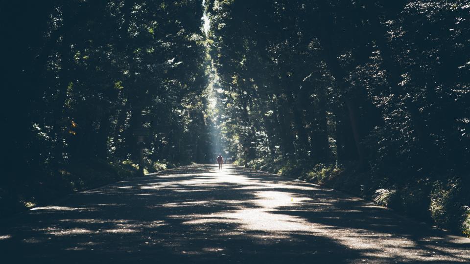 Nature Landscape