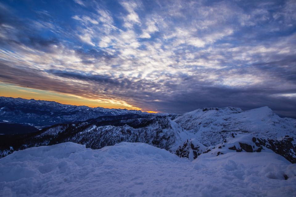 Snow Winter