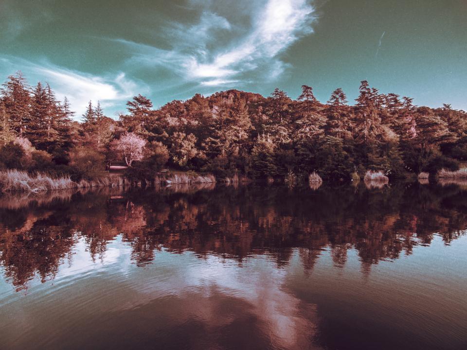 Nature Landscape