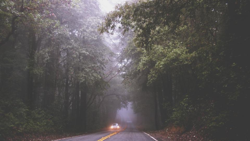 Road Fog