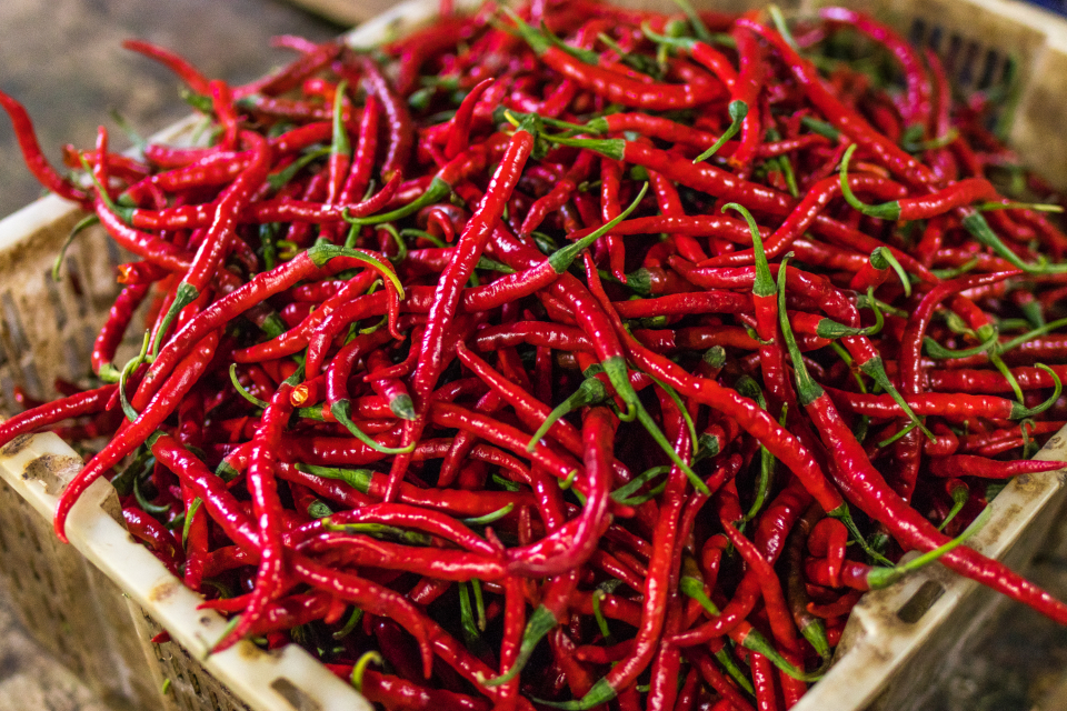 Chilli Market