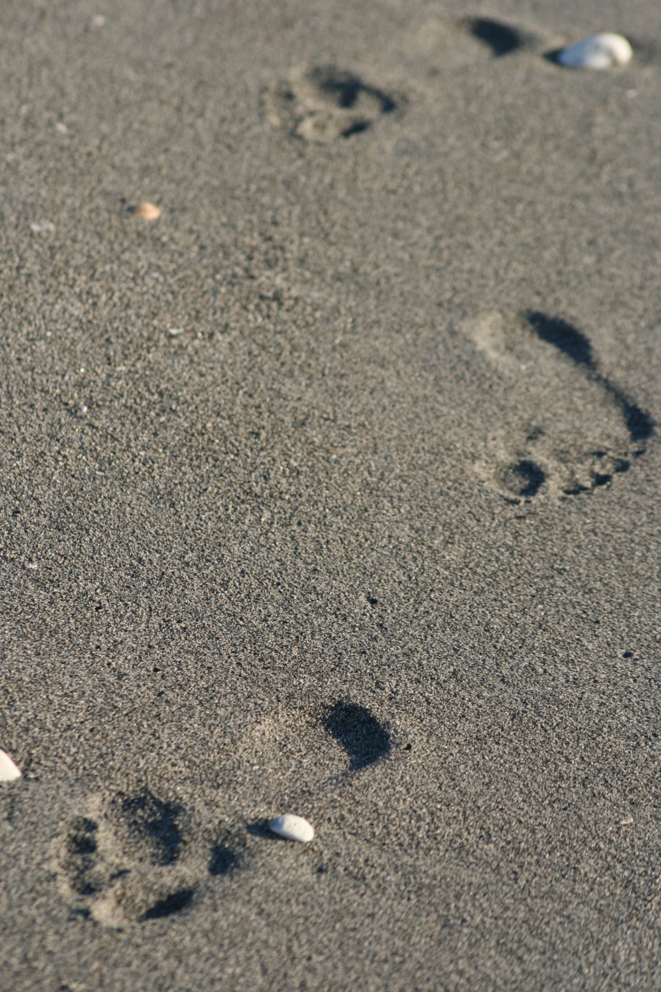 Footprints Sand