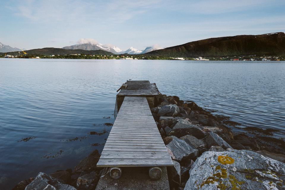 Wood Dock