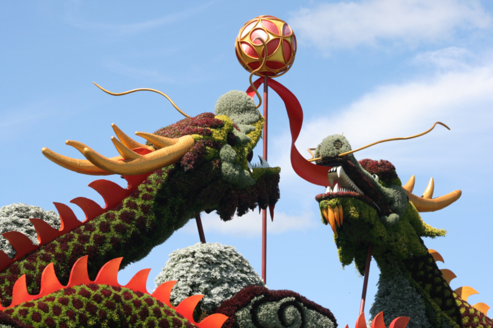 Dragon Art