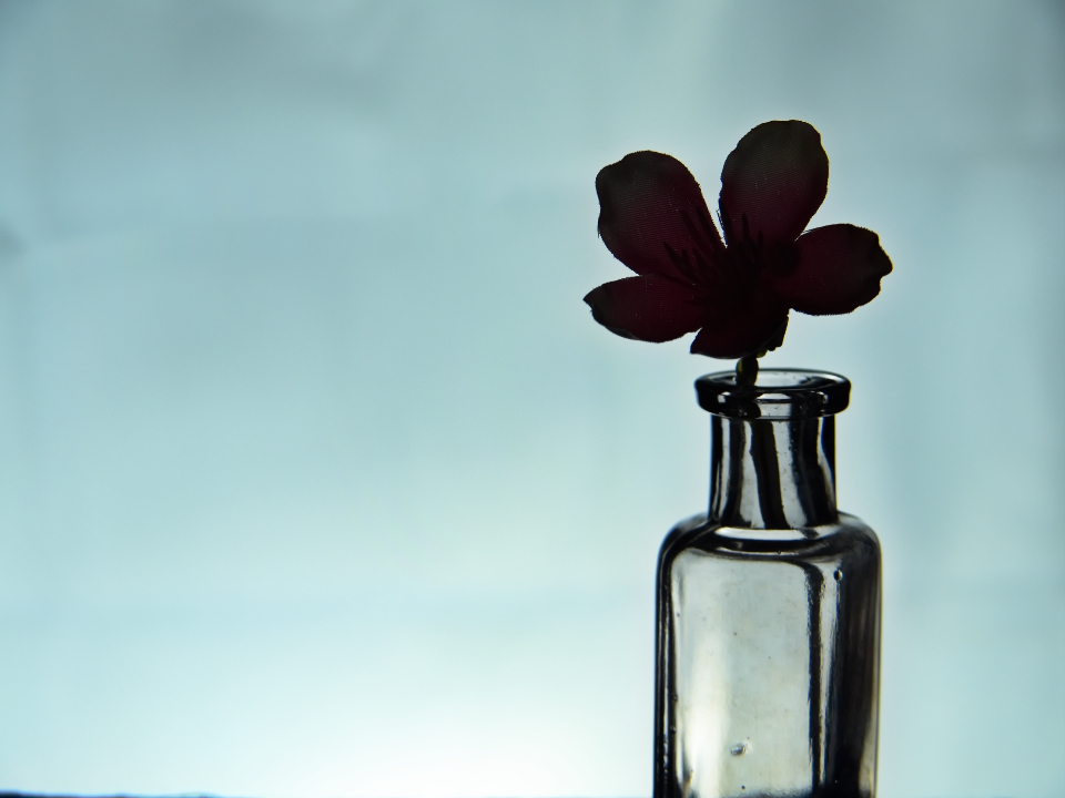 Flower Still Life