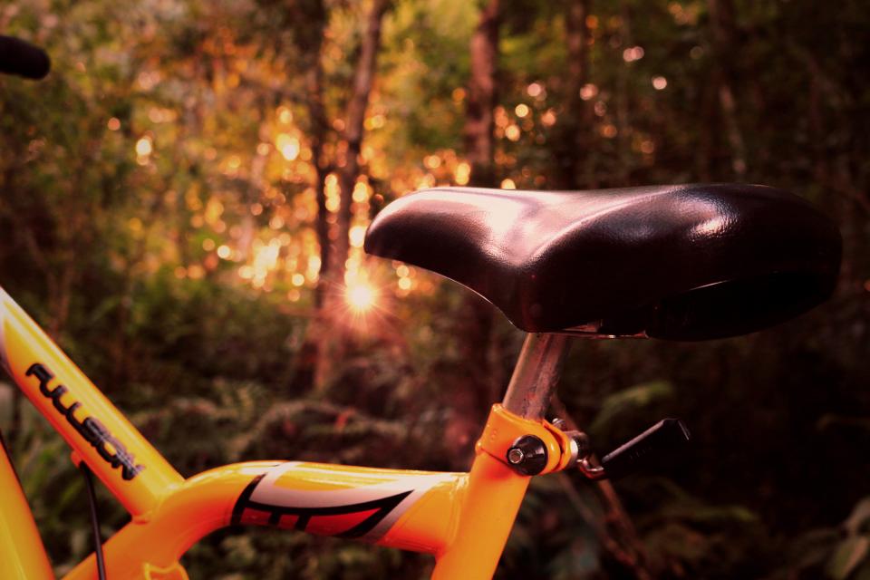 Bike Bicycle